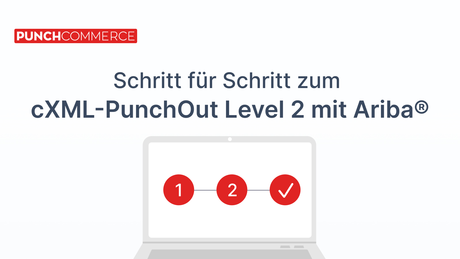 Wie funktioniert eigentlich der cXML-PunchOut Level 2 mit Ariba®?